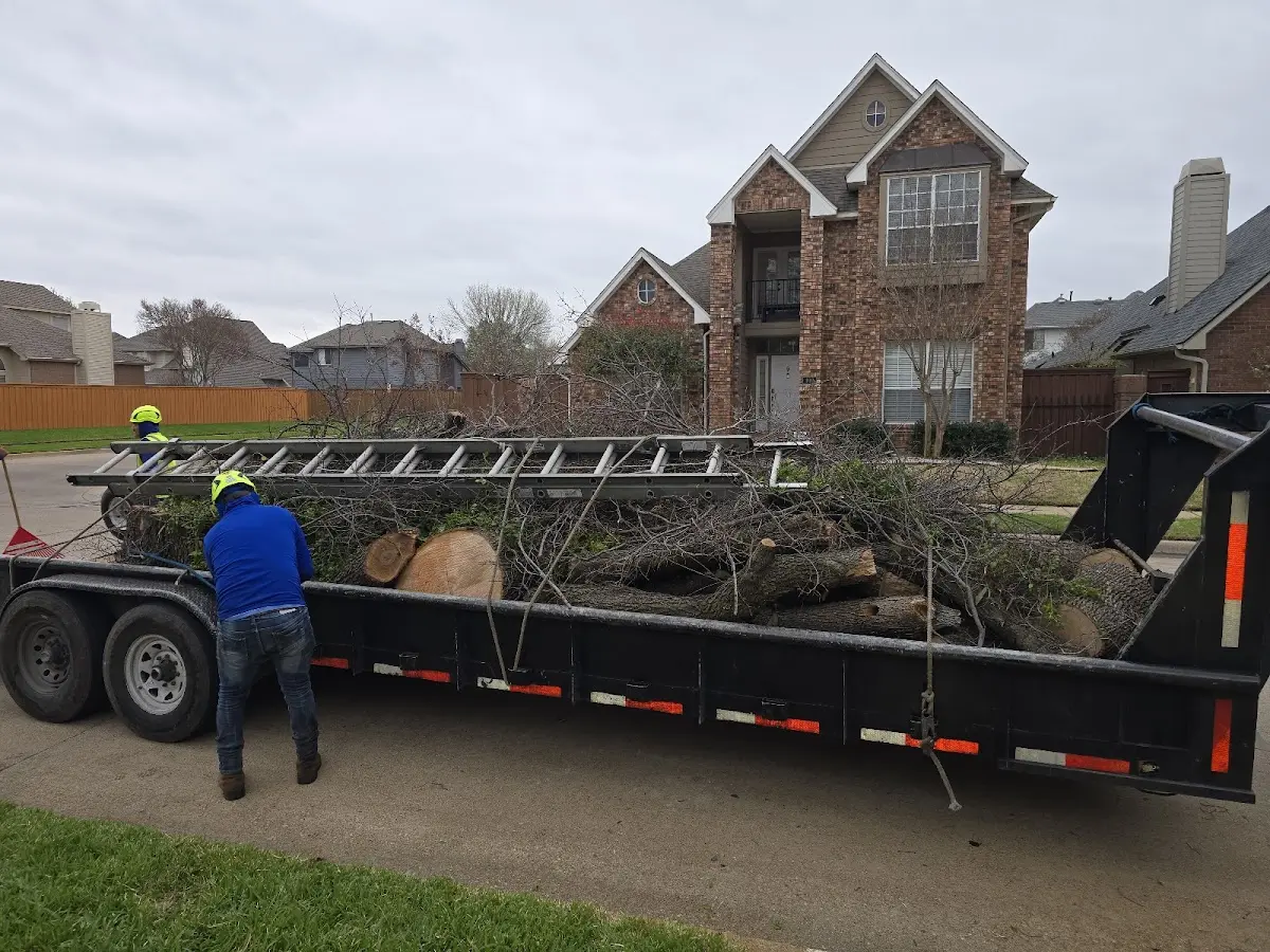 Expert Tree Fertilization with proper safety equipment in Eau Galle